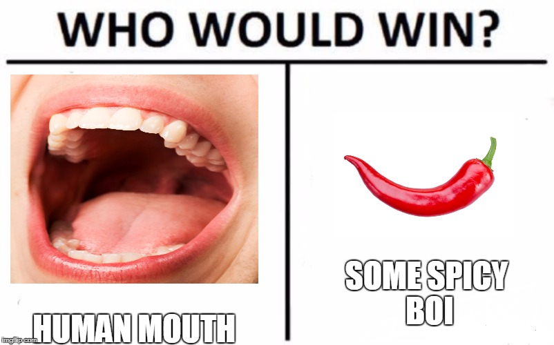 Who Would Win? Meme | SOME SPICY BOI; HUMAN MOUTH | image tagged in memes,who would win | made w/ Imgflip meme maker
