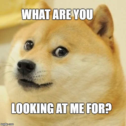 Doge Meme | WHAT ARE YOU; LOOKING AT ME FOR? | image tagged in memes,doge | made w/ Imgflip meme maker