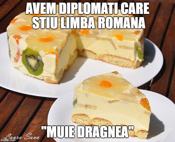 AVEM DIPLOMATI CARE STIU LIMBA ROMANA; "MUIE DRAGNEA" | made w/ Imgflip meme maker
