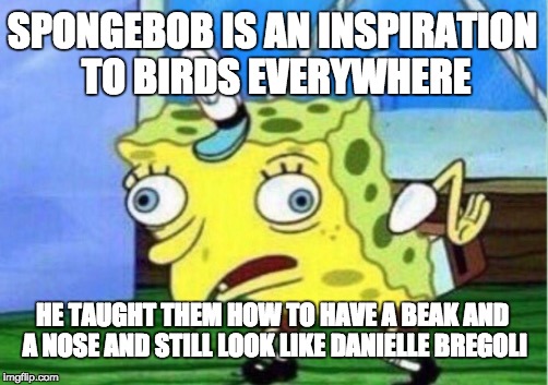 Spongebob bird-cash me ousside | SPONGEBOB IS AN INSPIRATION TO BIRDS EVERYWHERE; HE TAUGHT THEM HOW TO HAVE A BEAK AND A NOSE AND STILL LOOK LIKE DANIELLE BREGOLI | image tagged in memes,mocking spongebob,cash me ousside how bow dah,birds,inspiration,danielle bregoli | made w/ Imgflip meme maker