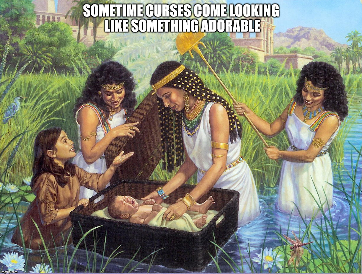 Moses, Moses.... | SOMETIME CURSES COME LOOKING LIKE SOMETHING ADORABLE | image tagged in the abrahamic god,moses,the conqueror of nations,malignant narcissist,sexual narcissist,the son of destruction | made w/ Imgflip meme maker