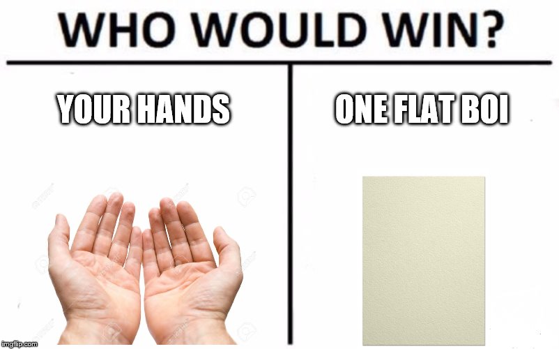 Who Would Win? | YOUR HANDS; ONE FLAT BOI | image tagged in memes,who would win | made w/ Imgflip meme maker