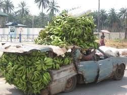 High Quality car full of bananas Blank Meme Template