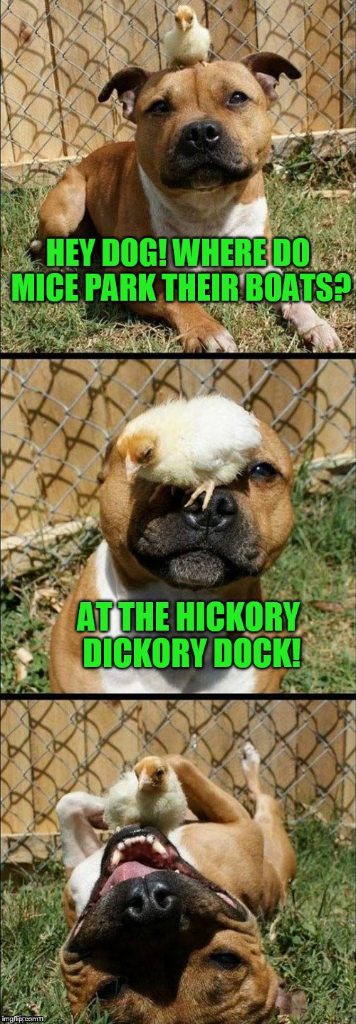 Serious Chick Pun | HEY DOG! WHERE DO MICE PARK THEIR BOATS? AT THE HICKORY DICKORY DOCK! | image tagged in serious chick pun | made w/ Imgflip meme maker