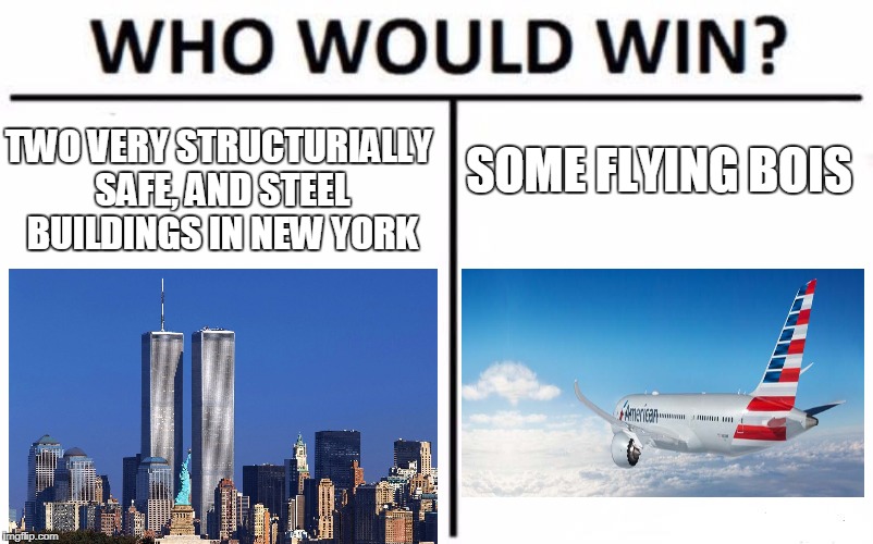 Who Would Win? | SOME FLYING BOIS; TWO VERY STRUCTURIALLY SAFE, AND STEEL BUILDINGS IN NEW YORK | image tagged in memes,who would win | made w/ Imgflip meme maker