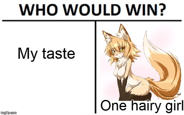 Damn Furries | My taste; One hairy girl | image tagged in animeme,dank memes,furry,animememe,who would win | made w/ Imgflip meme maker