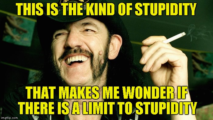 THIS IS THE KIND OF STUPIDITY THAT MAKES ME WONDER IF THERE IS A LIMIT TO STUPIDITY | made w/ Imgflip meme maker