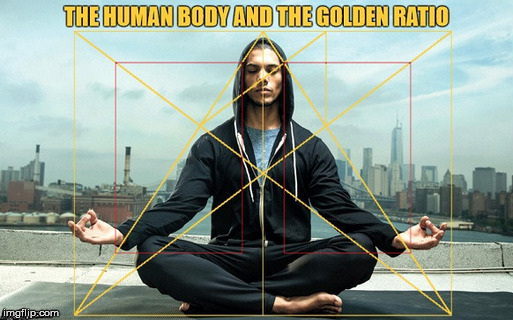 The human body and the golden ratio. | image tagged in human body,the golden ratio | made w/ Imgflip meme maker