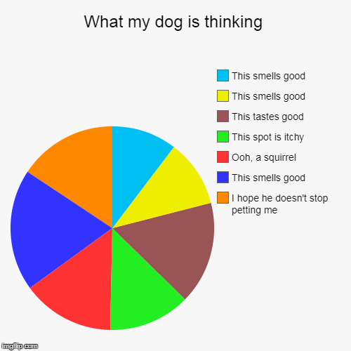 What my dog is thinking | I hope he doesn't stop petting me, This smells good, Ooh, a squirrel, This spot is itchy, This tastes good, This s | image tagged in funny,pie charts | made w/ Imgflip chart maker