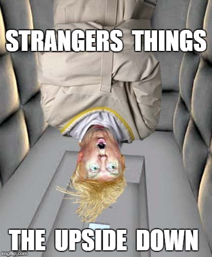 Straight Jacket Trump | STRANGERS  THINGS; THE  UPSIDE  DOWN | image tagged in straight jacket trump | made w/ Imgflip meme maker