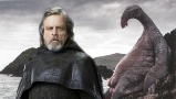 Luke Skywalker and Thala Siren Blank Meme Template