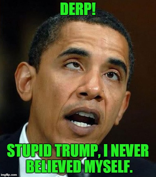 partisanship | DERP! STUPID TRUMP, I NEVER BELIEVED MYSELF. | image tagged in partisanship | made w/ Imgflip meme maker