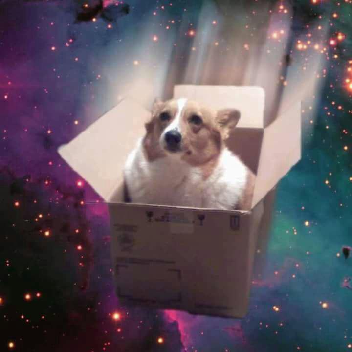 High Quality cosmic doggo Blank Meme Template