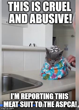 Christmas Cat Is Not Amused | THIS IS CRUEL AND ABUSIVE! I'M REPORTING THIS MEAT SUIT TO THE ASPCA! | image tagged in christmas cat is not amused | made w/ Imgflip meme maker