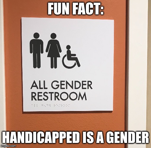 FUN FACT:; HANDICAPPED IS A GENDER | image tagged in funny,gender identity,triggered | made w/ Imgflip meme maker