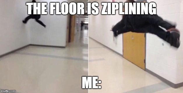 The floor is | THE FLOOR IS ZIPLINING; ME: | image tagged in the floor is | made w/ Imgflip meme maker