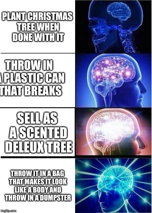 Expanding Brain Meme | PLANT CHRISTMAS TREE WHEN DONE WITH IT THROW IN A PLASTIC CAN THAT BREAKS SELL AS A SCENTED DELEUX TREE THROW IT IN A BAG THAT MAKES IT LOOK | image tagged in memes,expanding brain | made w/ Imgflip meme maker