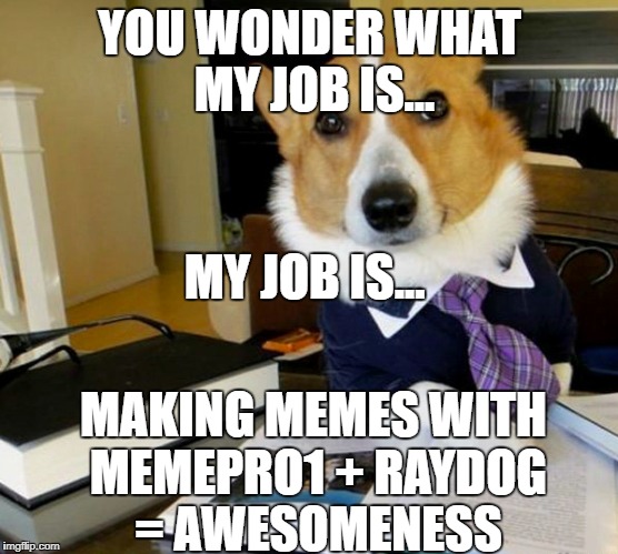 YOU WONDER WHAT MY JOB IS... MAKING MEMES WITH MEMEPRO1 + RAYDOG = AWESOMENESS; MY JOB IS... | image tagged in this is a dogs job | made w/ Imgflip meme maker