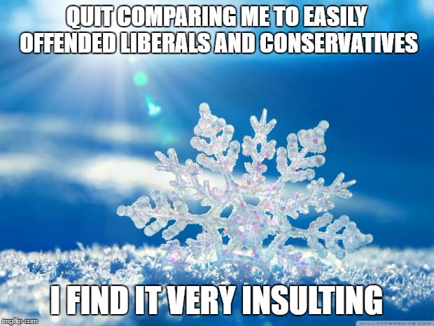 snowflake | QUIT COMPARING ME TO EASILY OFFENDED LIBERALS AND CONSERVATIVES; I FIND IT VERY INSULTING | image tagged in snowflake | made w/ Imgflip meme maker