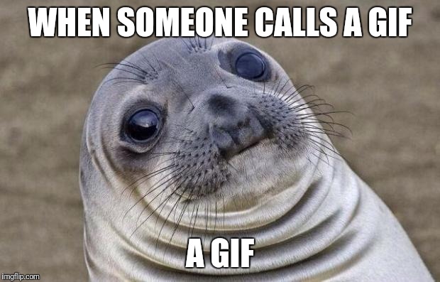 Awkward Moment Sealion Meme | WHEN SOMEONE CALLS A GIF; A GIF | image tagged in memes,awkward moment sealion | made w/ Imgflip meme maker