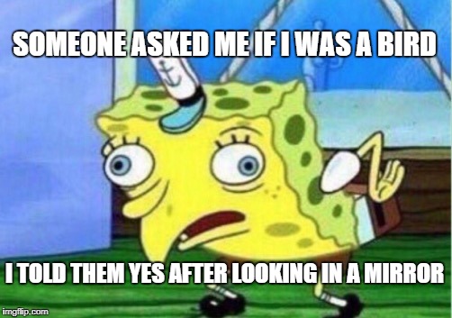 Mocking Spongebob | SOMEONE ASKED ME IF I WAS A BIRD; I TOLD THEM YES AFTER LOOKING IN A MIRROR | image tagged in memes,mocking spongebob | made w/ Imgflip meme maker