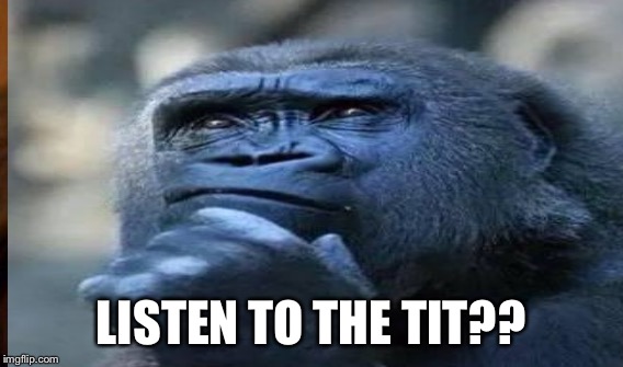 LISTEN TO THE TIT?? | made w/ Imgflip meme maker