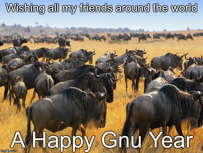 Herd of wildebeests gnus in Africa | Wishing all my friends around the world; A Happy Gnu Year | image tagged in herd of wildebeests gnus in africa | made w/ Imgflip meme maker
