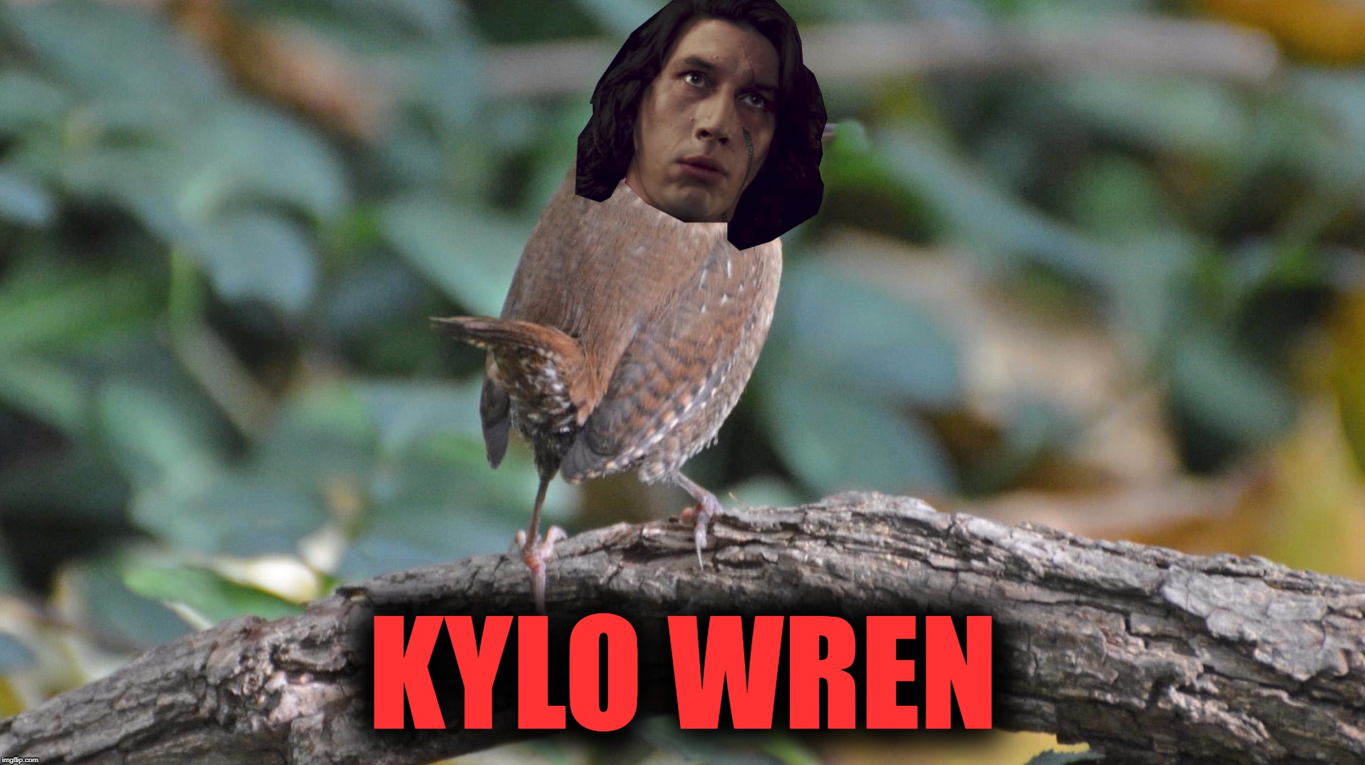 Kylo Wren | KYLO WREN | image tagged in memes,kylo wren | made w/ Imgflip meme maker