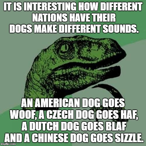 Philosoraptor Meme | IT IS INTERESTING HOW DIFFERENT NATIONS HAVE THEIR DOGS MAKE DIFFERENT SOUNDS. AN AMERICAN DOG GOES WOOF, A CZECH DOG GOES HAF, A DUTCH DOG GOES BLAF AND A CHINESE DOG GOES SIZZLE. | image tagged in memes,philosoraptor | made w/ Imgflip meme maker