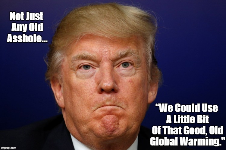 "Not Just Any Old Asshole..." | Not Just Any Old Asshole... â€œWe Could Use A Little Bit Of That Good, Old Global Warming." | image tagged in deplorable donald,despicable donald,devious donald,dishonorable donald,dishonest donald,delusional donald | made w/ Imgflip meme maker