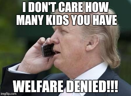 Oh contraire recipient of welfare | I DON'T CARE HOW MANY KIDS YOU HAVE; WELFARE DENIED!!! | image tagged in trump phone,welfare,trump,budget cuts,memes | made w/ Imgflip meme maker