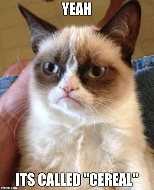 Grumpy Cat Meme | YEAH ITS CALLED "CEREAL" | image tagged in memes,grumpy cat | made w/ Imgflip meme maker