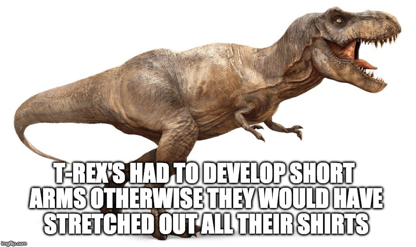Evolution is amazing!! | T-REX'S HAD TO DEVELOP SHORT ARMS OTHERWISE THEY WOULD HAVE STRETCHED OUT ALL THEIR SHIRTS | image tagged in trex,evolution,tiny arms,science | made w/ Imgflip meme maker