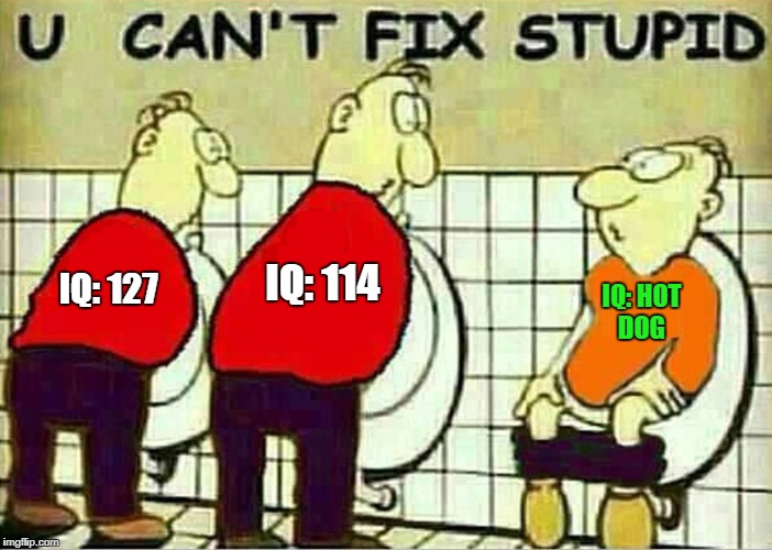U Can't Fix Stupid | IQ: 114; IQ: 127; IQ: HOT DOG | image tagged in u can't fix stupid,you can't fix stupid,memes,iq,hot dog,stupid | made w/ Imgflip meme maker