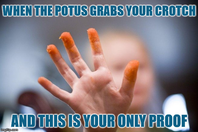 POTUS Grabber  | WHEN THE POTUS GRABS YOUR CROTCH; AND THIS IS YOUR ONLY PROOF | image tagged in memes,grab her by the pussy,president cheeto,creeper,stupid,donald trump | made w/ Imgflip meme maker