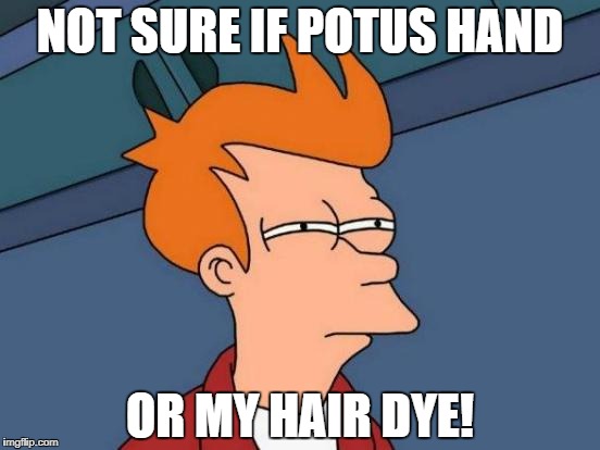 Futurama Fry Meme | NOT SURE IF POTUS HAND OR MY HAIR DYE! | image tagged in memes,futurama fry | made w/ Imgflip meme maker