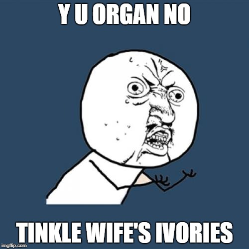 Y U No Meme | Y U ORGAN NO TINKLE WIFE'S IVORIES | image tagged in memes,y u no | made w/ Imgflip meme maker