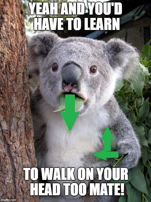 YEAH AND YOU'D HAVE TO LEARN TO WALK ON YOUR HEAD TOO MATE! | made w/ Imgflip meme maker