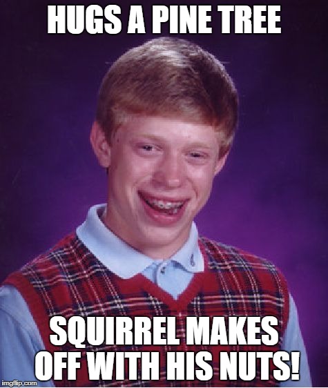 Bad Luck Brian Meme | HUGS A PINE TREE SQUIRREL MAKES OFF WITH HIS NUTS! | image tagged in memes,bad luck brian | made w/ Imgflip meme maker