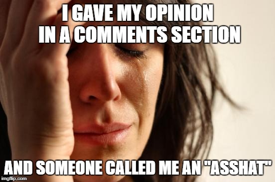 First World Problems | I GAVE MY OPINION IN A COMMENTS SECTION; AND SOMEONE CALLED ME AN "ASSHAT" | image tagged in memes,first world problems | made w/ Imgflip meme maker