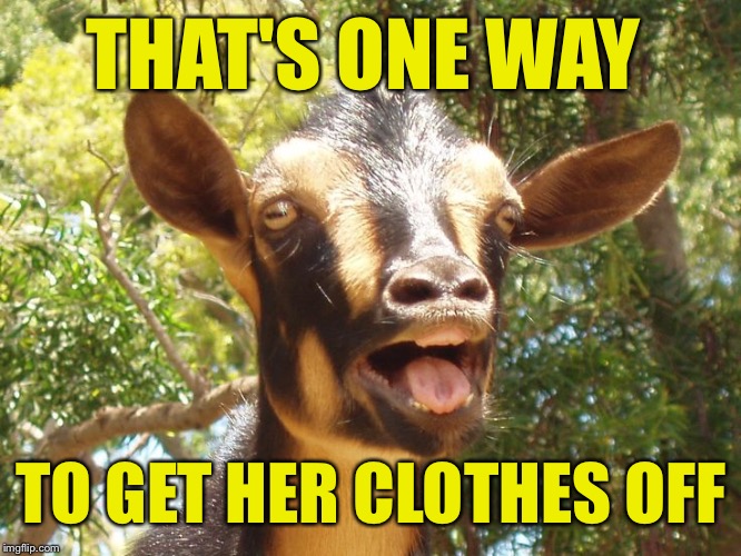THAT'S ONE WAY TO GET HER CLOTHES OFF | made w/ Imgflip meme maker