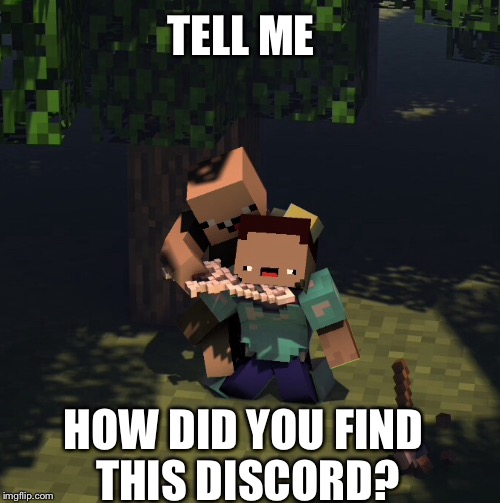 HOW U FIND THIS DISCORD?! | TELL ME; HOW DID YOU FIND THIS DISCORD? | image tagged in minecraft,discord | made w/ Imgflip meme maker