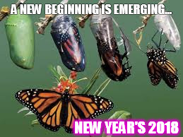 New Year's 2018 | A NEW BEGINNING IS EMERGING... NEW YEAR'S 2018 | image tagged in new years,change,transition | made w/ Imgflip meme maker