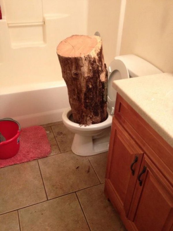 Toilet log Blank Meme Template