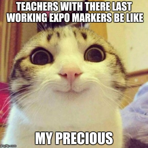 Smiling Cat Meme |  TEACHERS WITH THERE LAST WORKING EXPO MARKERS BE LIKE; MY PRECIOUS | image tagged in memes,smiling cat | made w/ Imgflip meme maker