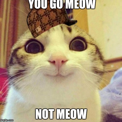 Smiling Cat | YOU GO MEOW; NOT MEOW | image tagged in memes,smiling cat,scumbag | made w/ Imgflip meme maker
