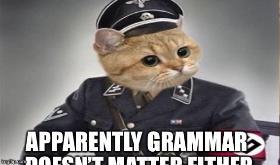 APPARENTLY GRAMMAR DOESN’T MATTER EITHER | made w/ Imgflip meme maker