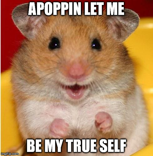 hamster | APOPPIN LET ME; BE MY TRUE SELF | image tagged in hamster | made w/ Imgflip meme maker