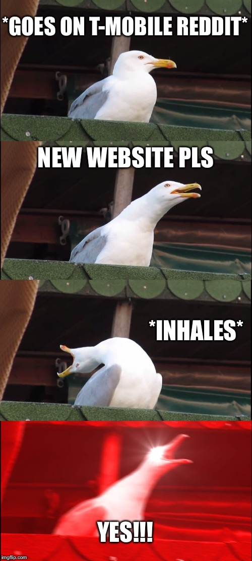 inhaling-seagull-meme-imgflip