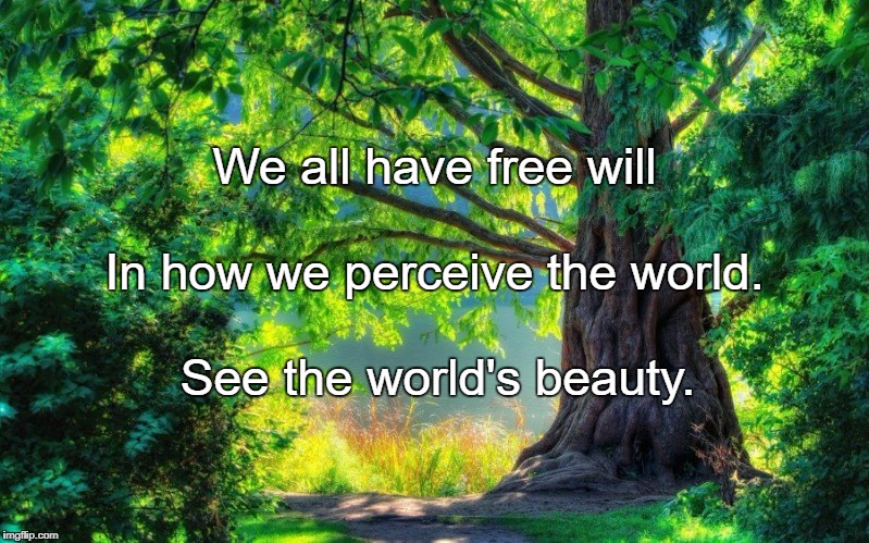 Nature | We all have free will; In how we perceive the world. See the world's beauty. | image tagged in nature | made w/ Imgflip meme maker